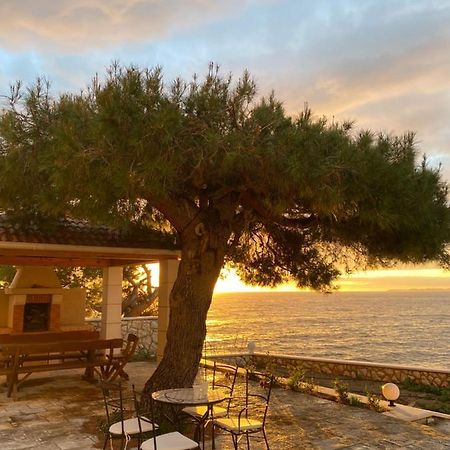 Apartment L'Odore Del Mare Dolac 外观 照片